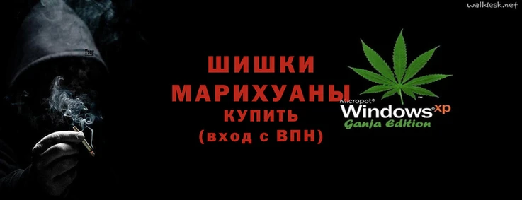 ГАЛЛЮЦИНОГЕННЫЕ ГРИБЫ Заволжье