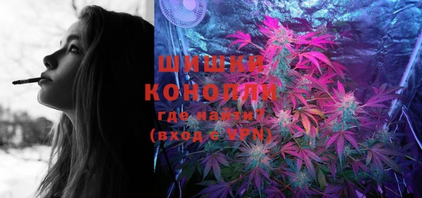 ГАЛЛЮЦИНОГЕННЫЕ ГРИБЫ Заволжье