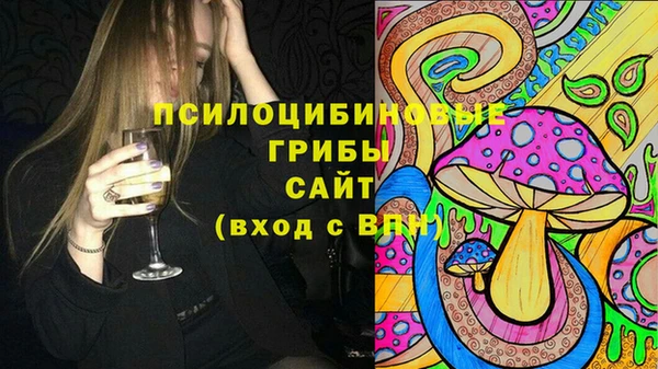 ГАЛЛЮЦИНОГЕННЫЕ ГРИБЫ Заволжье