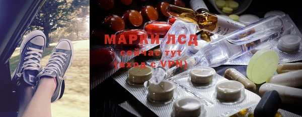 ГАЛЛЮЦИНОГЕННЫЕ ГРИБЫ Заволжье