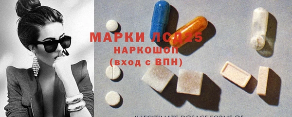 ГАЛЛЮЦИНОГЕННЫЕ ГРИБЫ Заволжье