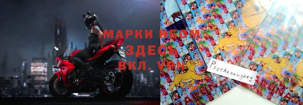 ГАЛЛЮЦИНОГЕННЫЕ ГРИБЫ Заволжье