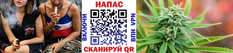 Купить где  Новокубанск  Бошки марихуана OG Kush 